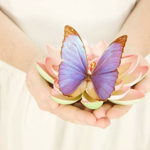 Harmony in Relations