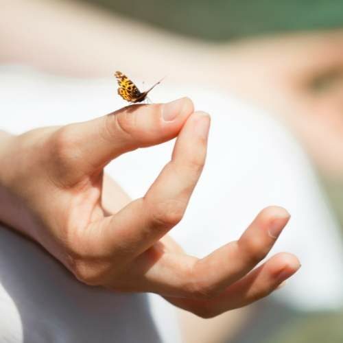 Self Managing Skills